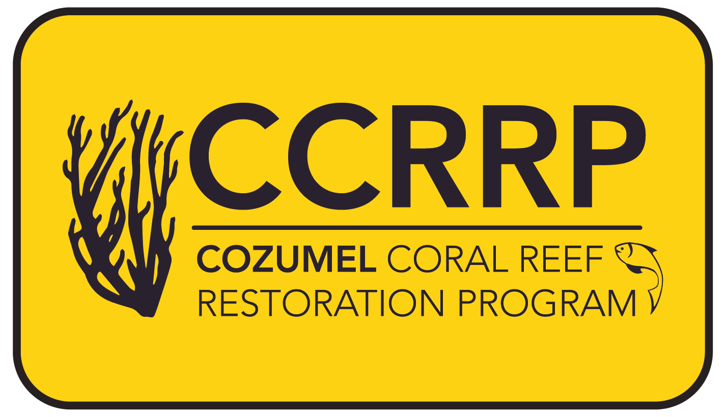 Cozumel Coral Reef Restoration Program